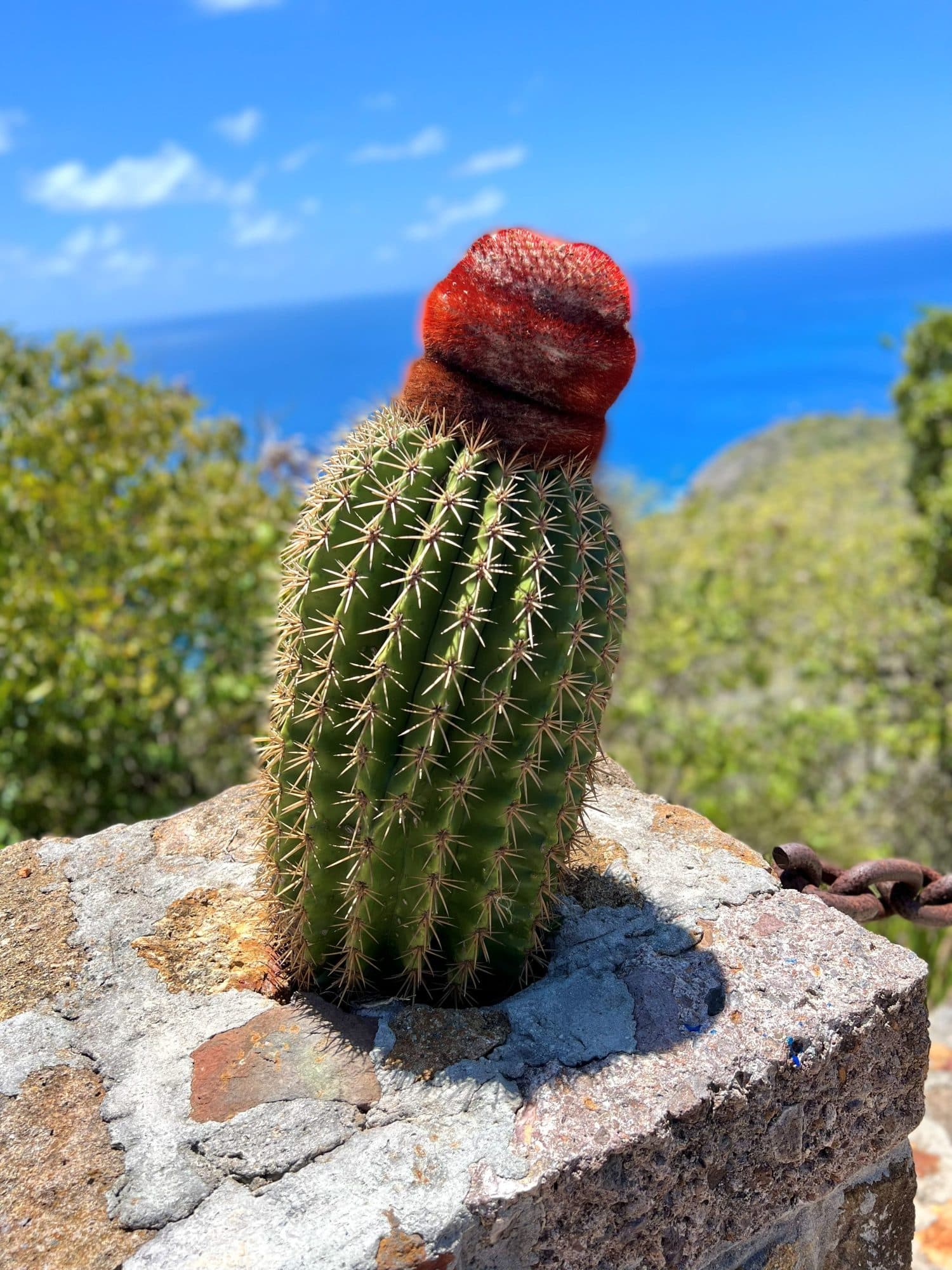 Shirley Heights, Antigua