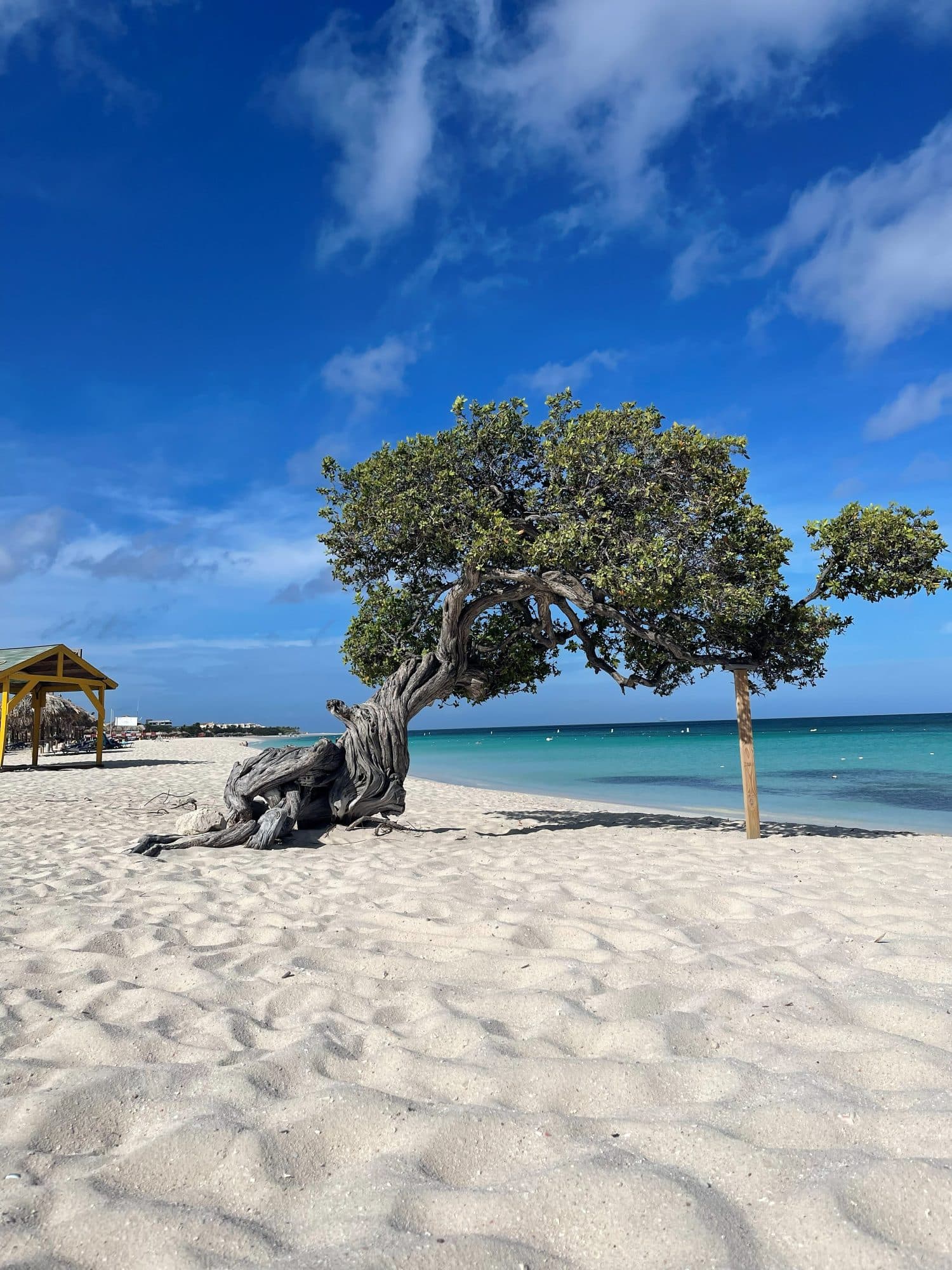 Aruba
