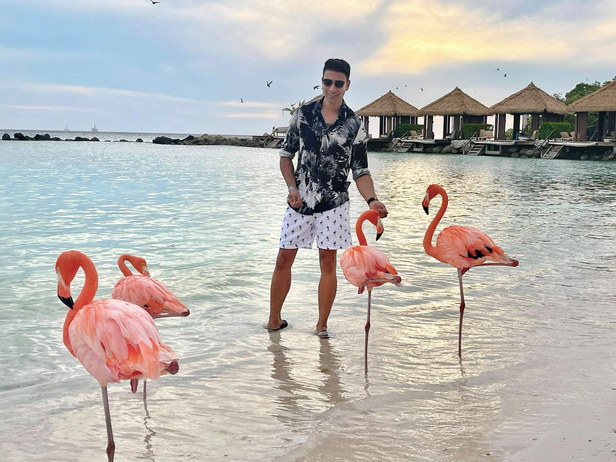 Flamingo Beach, Renaissance Island, Oranjestad
