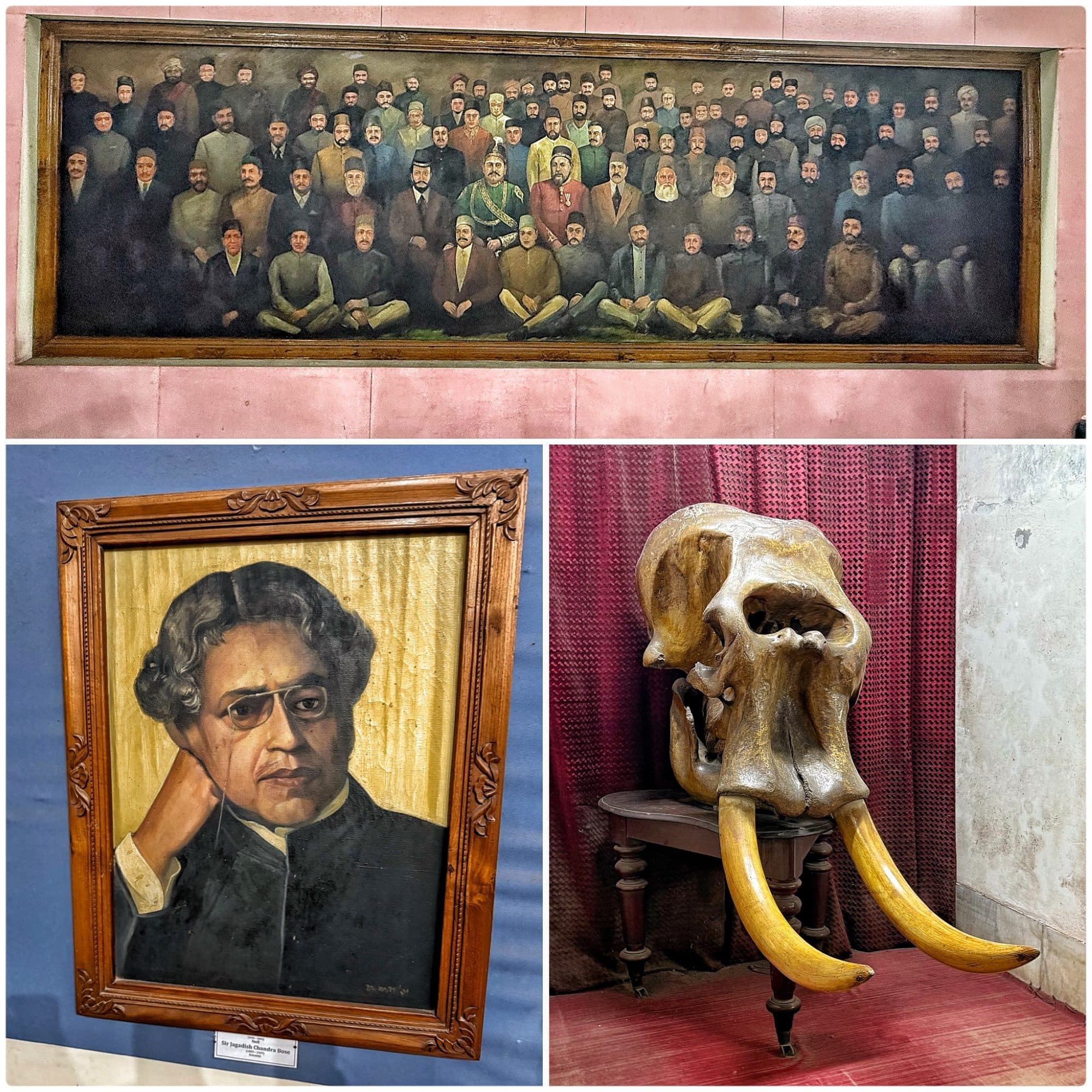 Dhaka Museum (Dhaka City Museum or National Museum), Dhaka