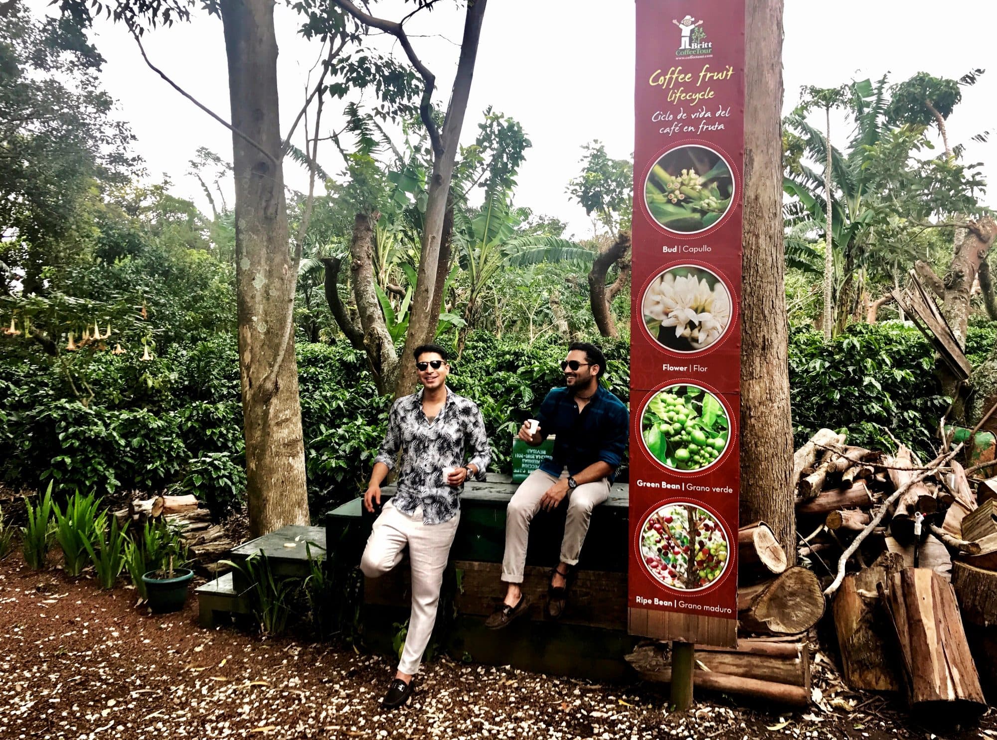 Coffee farm, Central Valley highlands