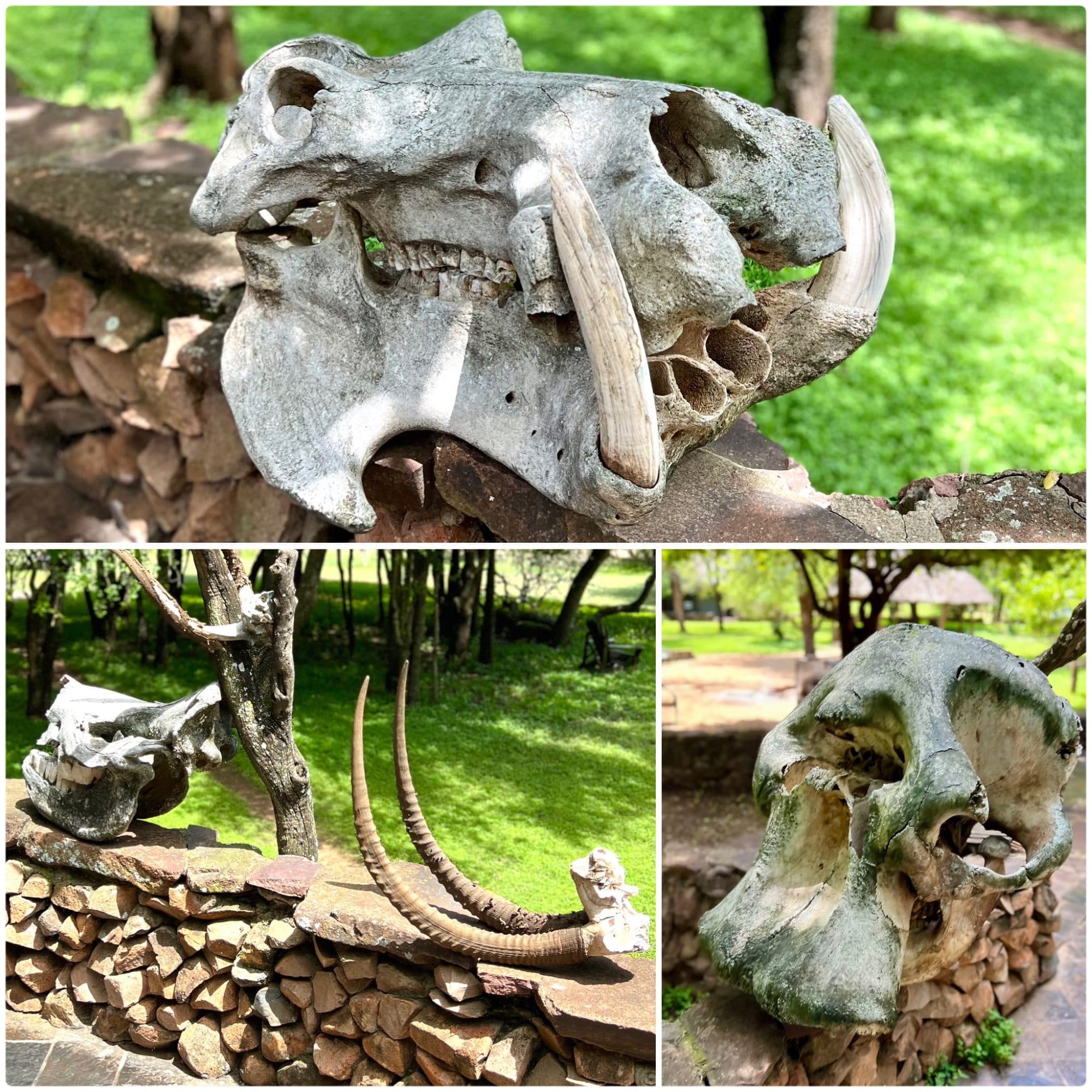 Mlilwane Wildlife Sanctuary, Eswatini