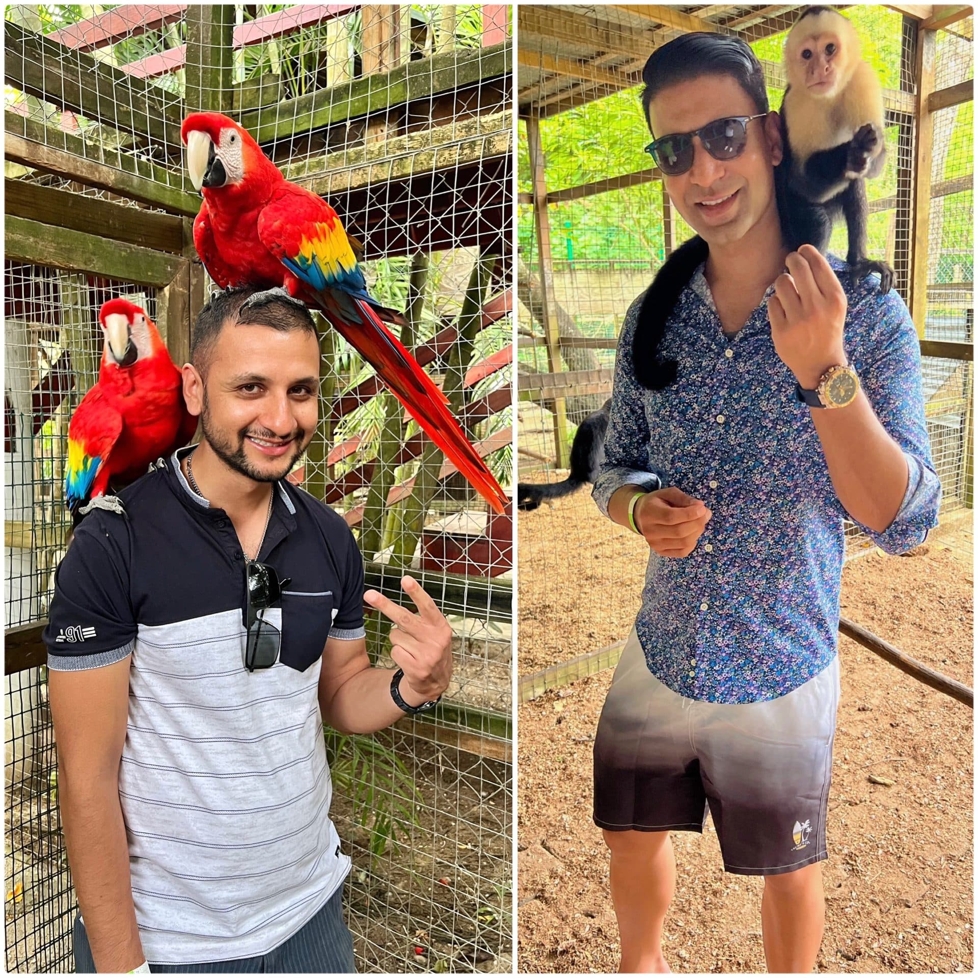 Wildlife rescue centre, Honduras