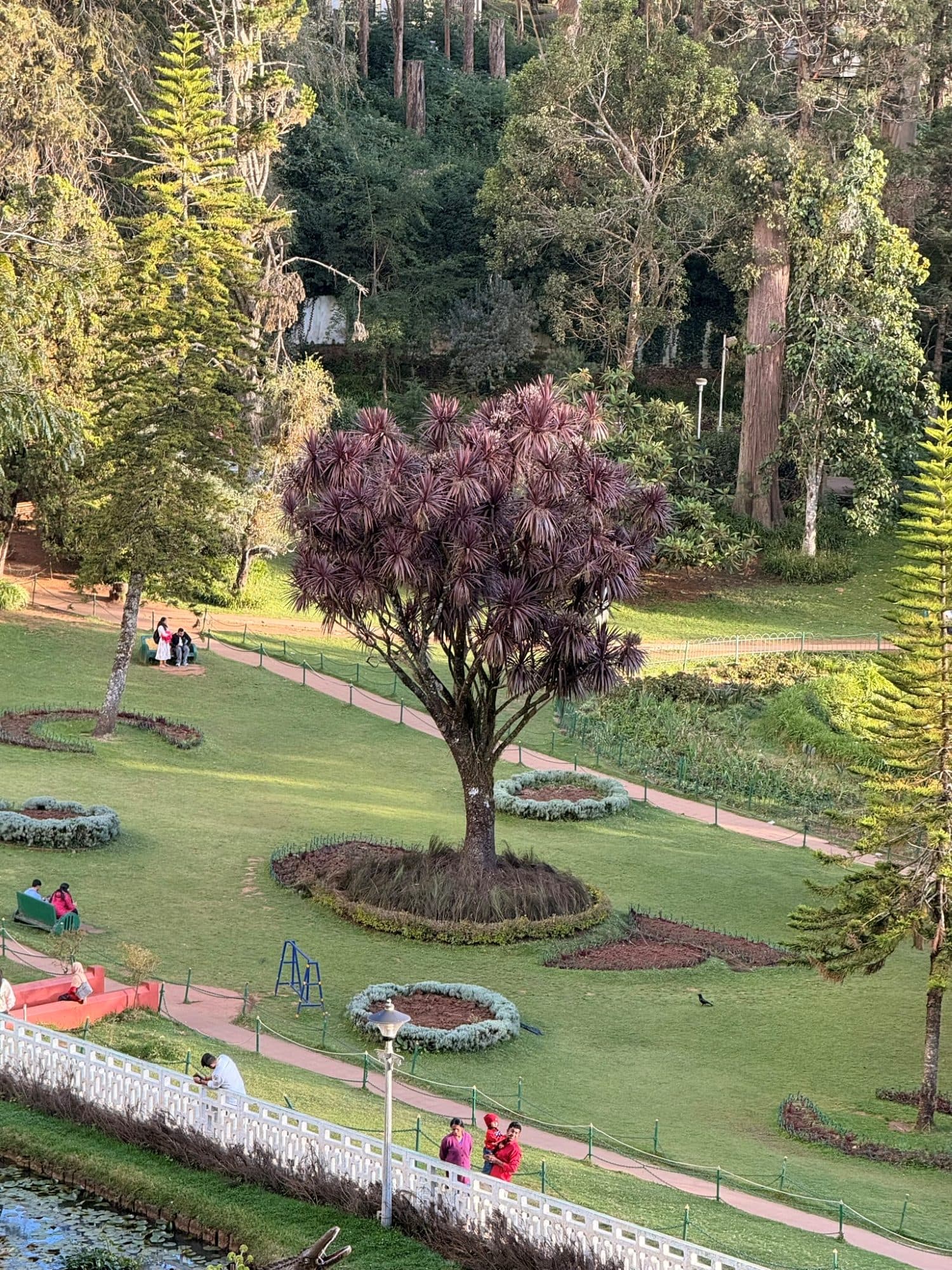 Government Botanical Gardens, Ooty, Tamil Nadu
