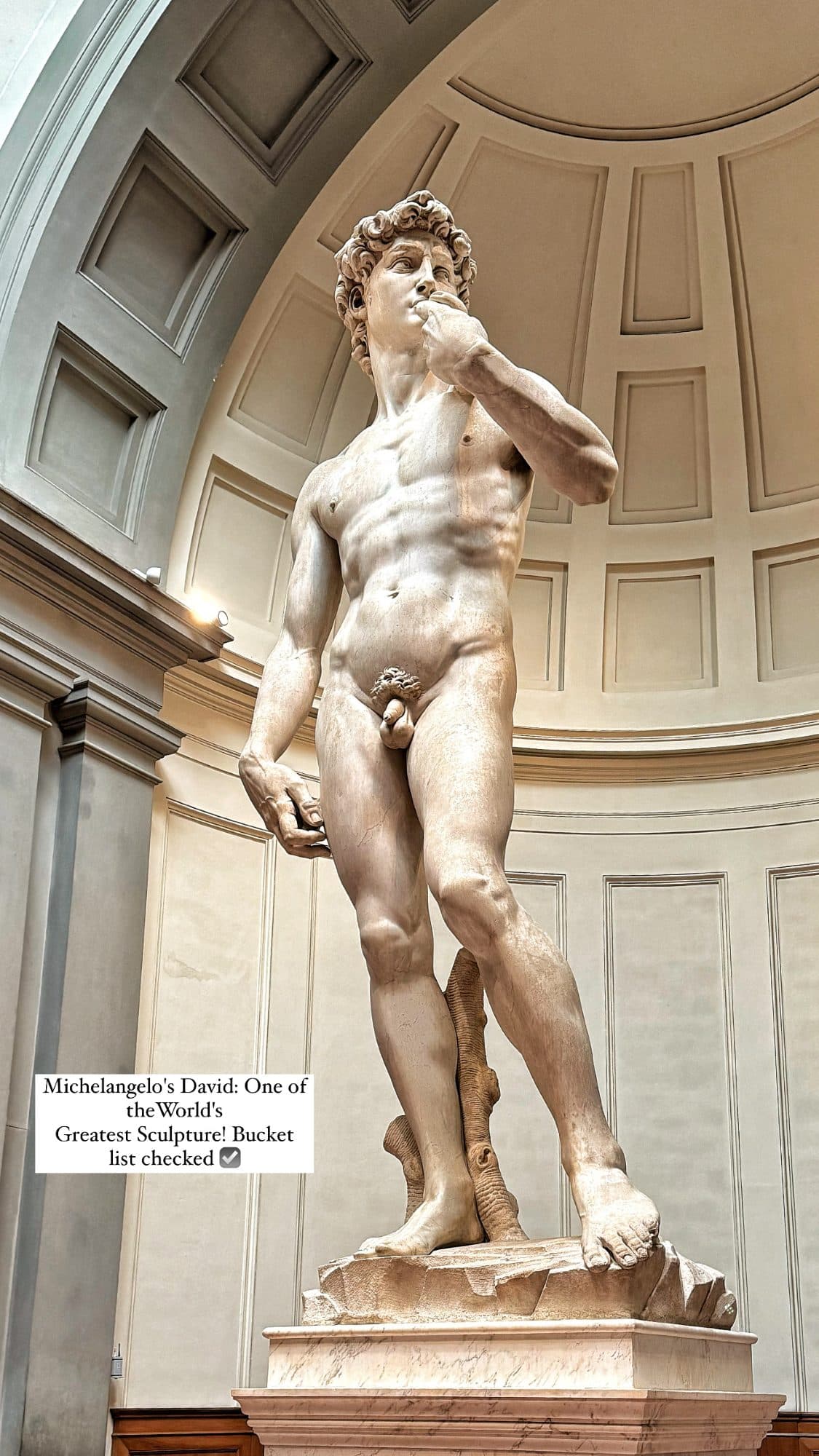 Galleria dell'Accademia, Florence