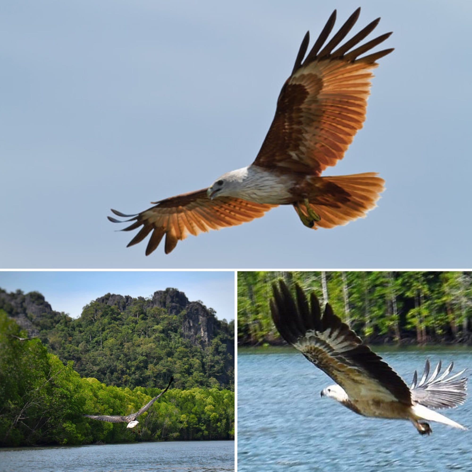 Kilim Karst Geoforest Park, Langkawi