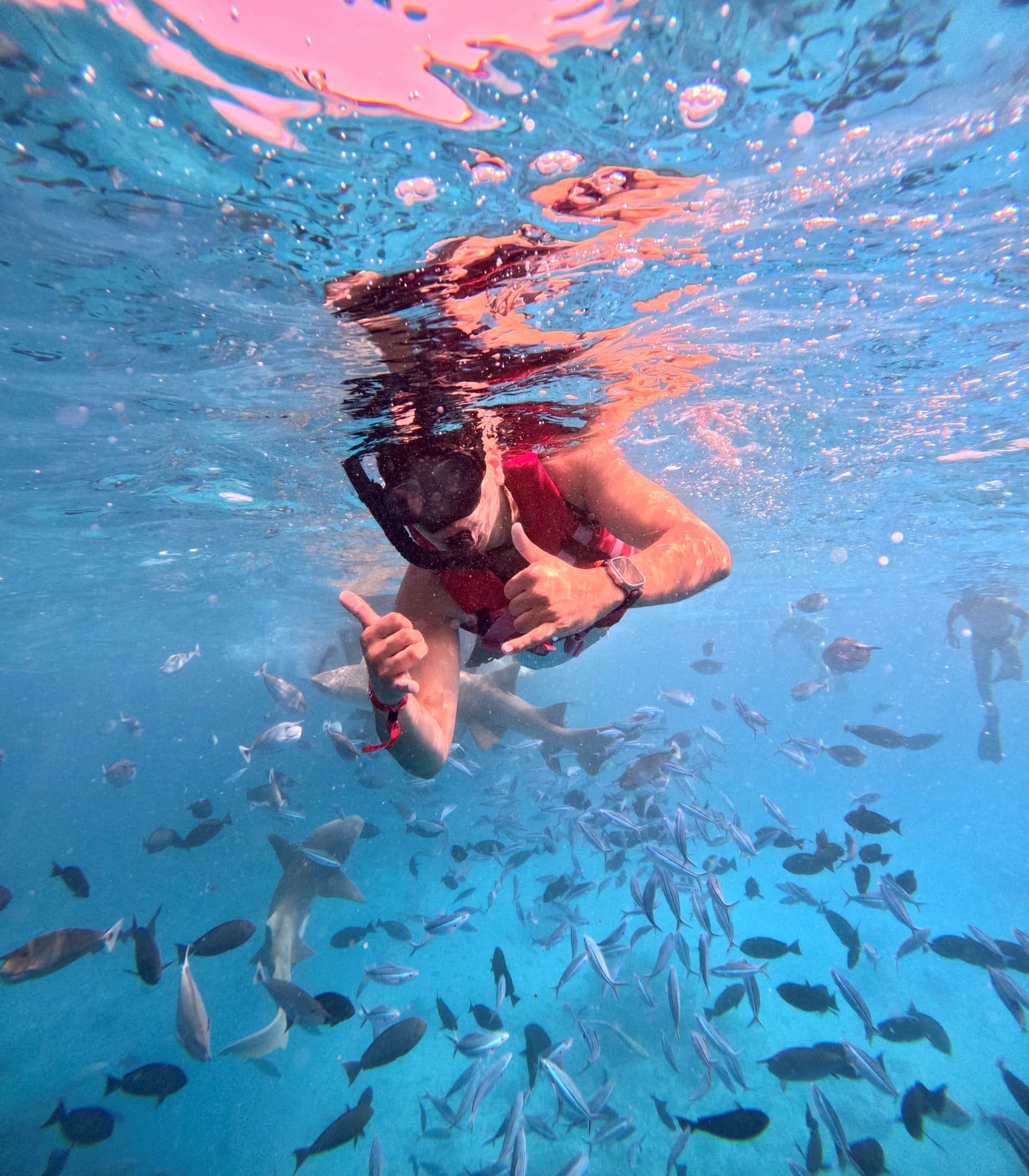 Snorkelling reef, Maldives