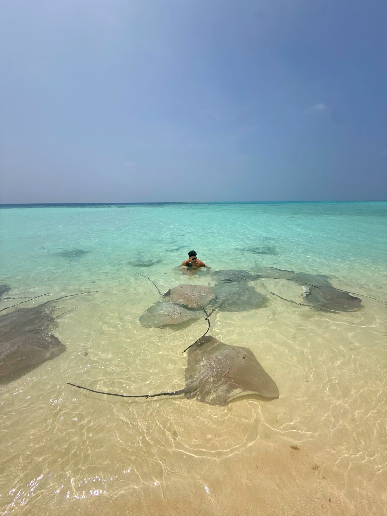 Stingray sandbank, Maldives