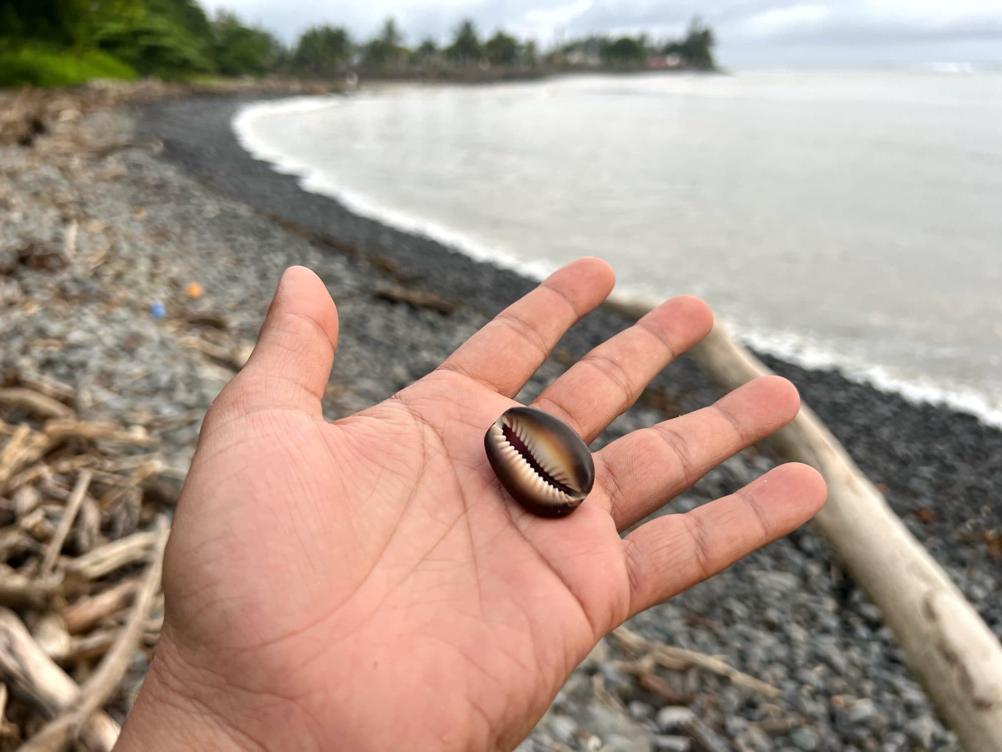 Southern coast, Mauritius