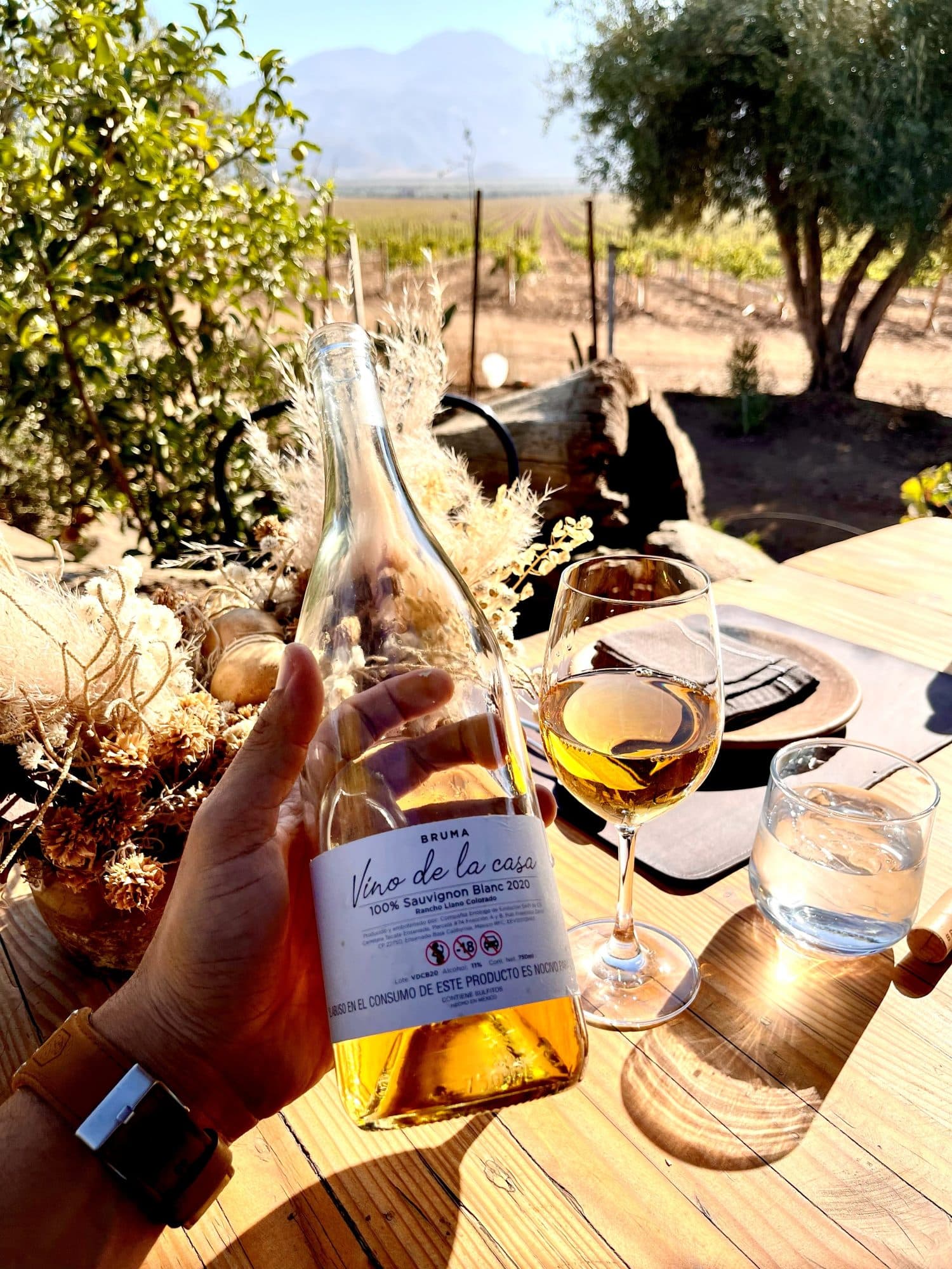 Bruma Winery, Valle de Guadalupe, Baja California