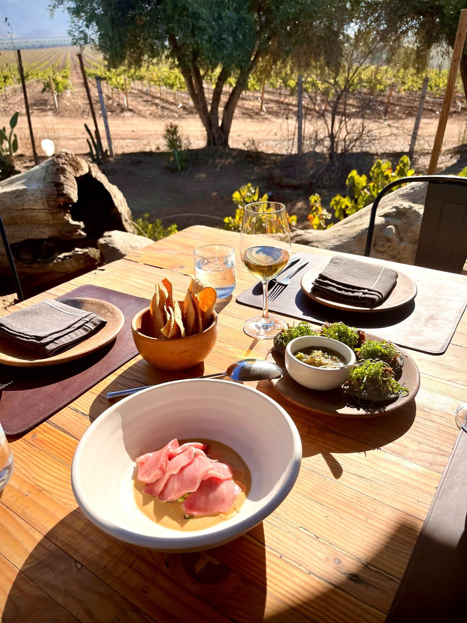 Valle de Guadalupe, Baja California
