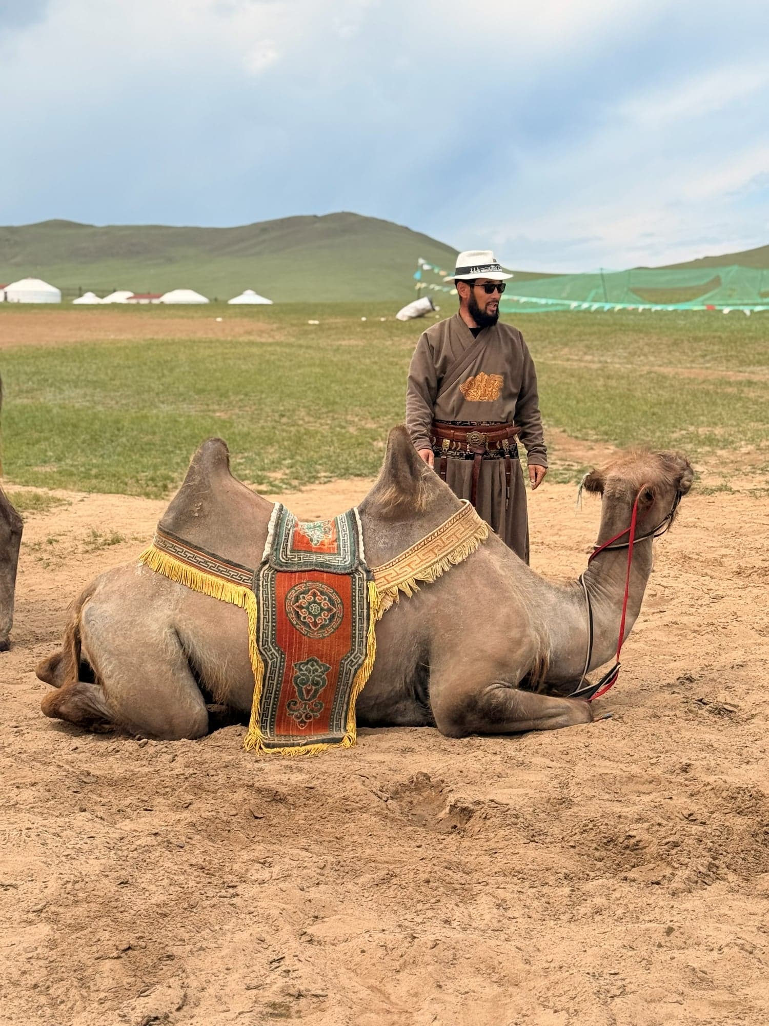 Camel handler