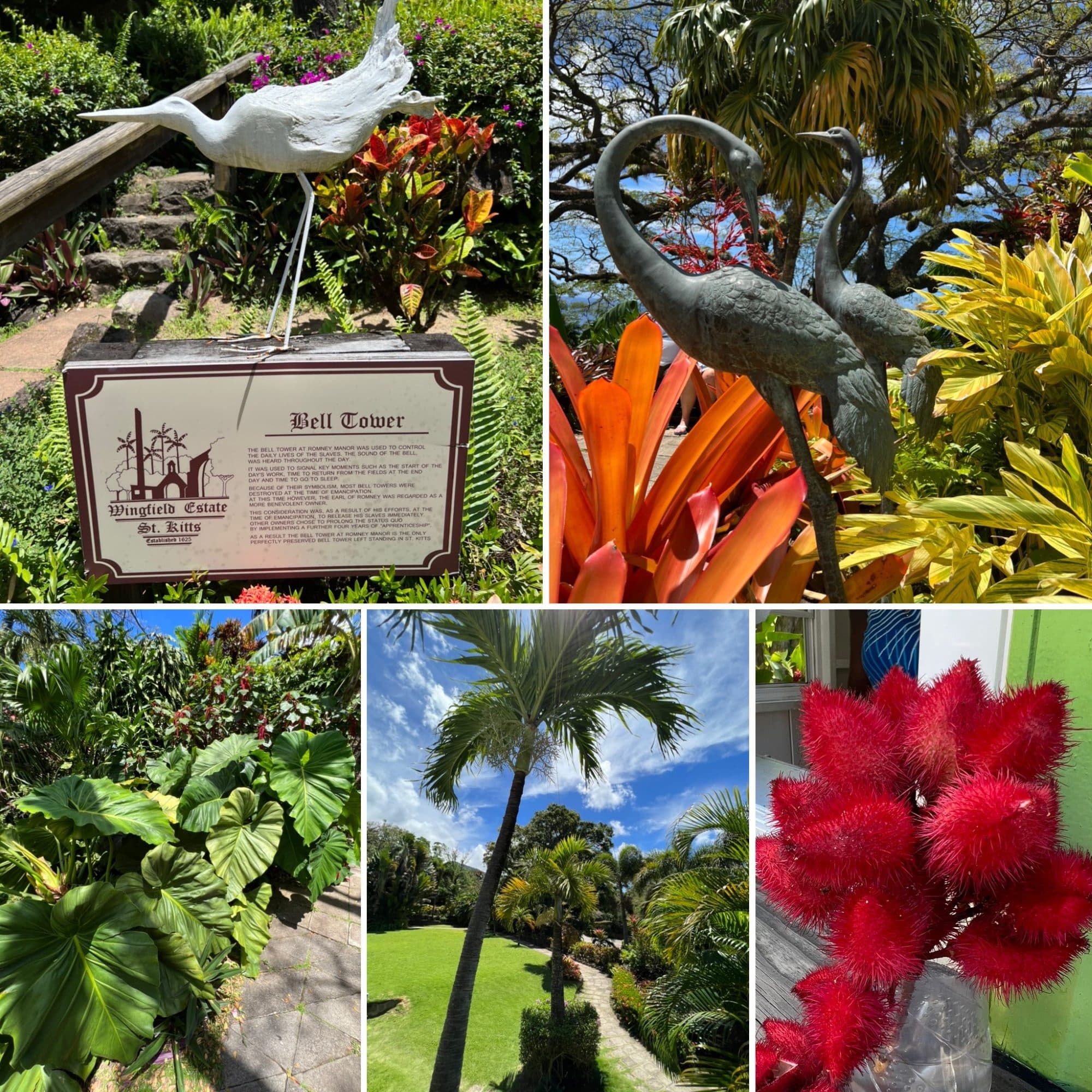 Wingfield Estate, Saint Kitts