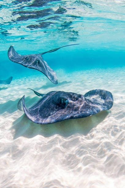 Saint Lucia — Caribbean waters